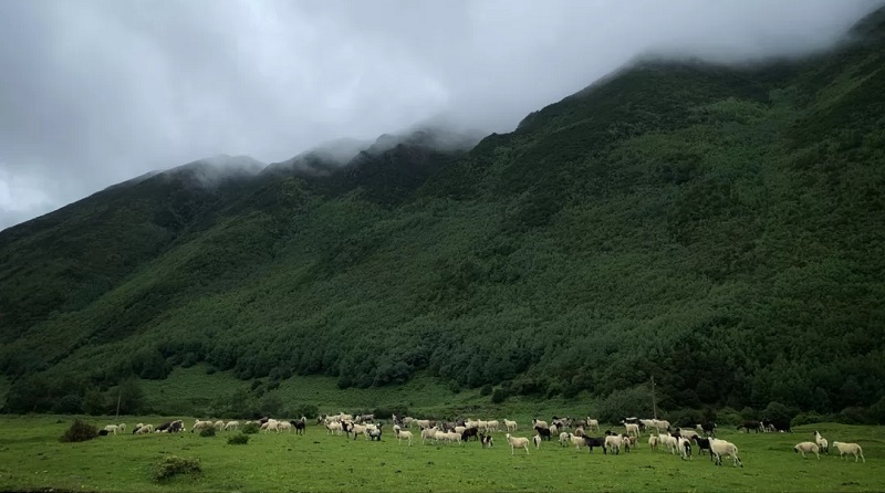 如何選擇適合自己的研學(xué)旅行及選擇研學(xué)機構(gòu)的標(biāo)準(zhǔn)是什么？