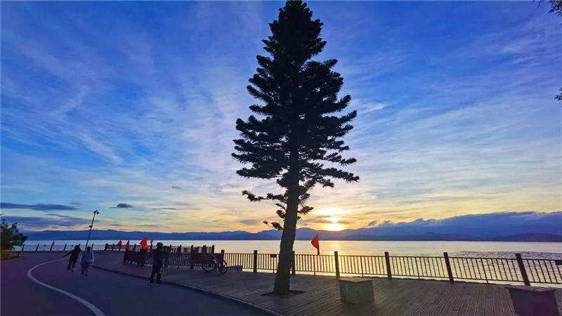 大理濃烈的夏日味道，都藏在洱海生態(tài)廊道