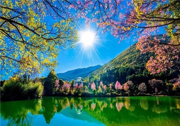 蝴蝶泉邊：邂逅超越時(shí)代的古老愛情，浪漫與幸福觸手可及